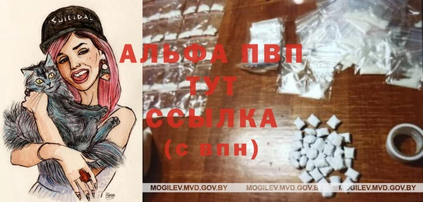 меф Арсеньев