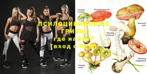 меф Арсеньев