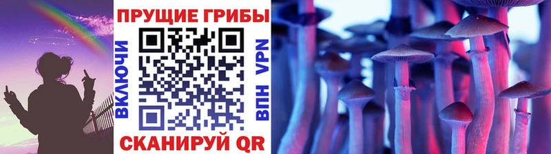 кракен сайт  Зеленокумск  Псилоцибиновые грибы GOLDEN TEACHER 